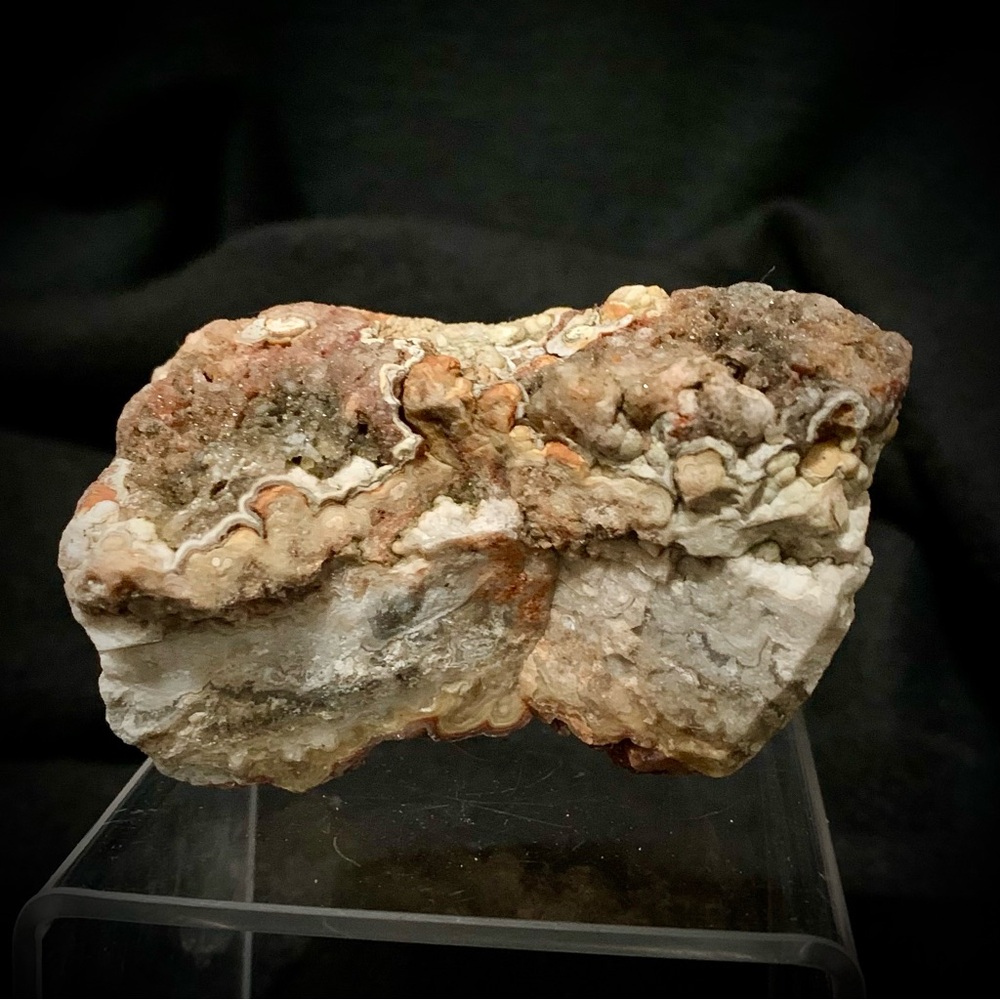 Lace Agate w/ Botryoidal Druzy – 10.2 oz Natural Specimen